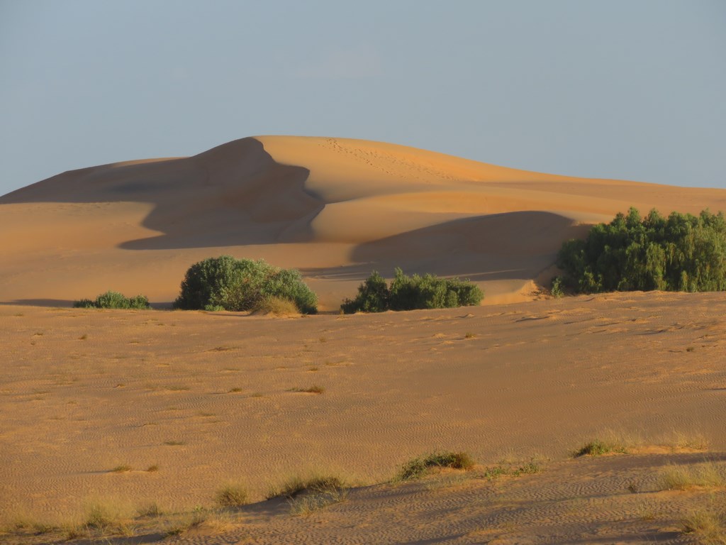 Sénégal